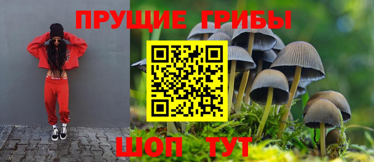 Галлюциногенные грибы GOLDEN TEACHER  Псилоцибиновые грибы мухоморы  Вход с VPN  что такое наркотик  Лабытнанги 